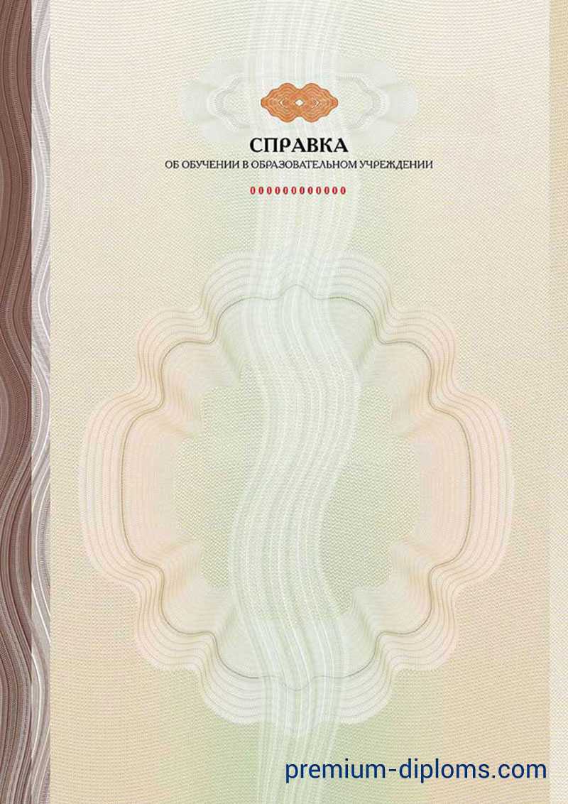 Справка об обучении фото